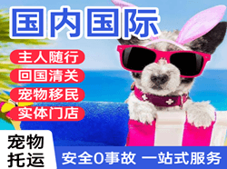 长春龙嘉航空货运国际宠物托运 【国